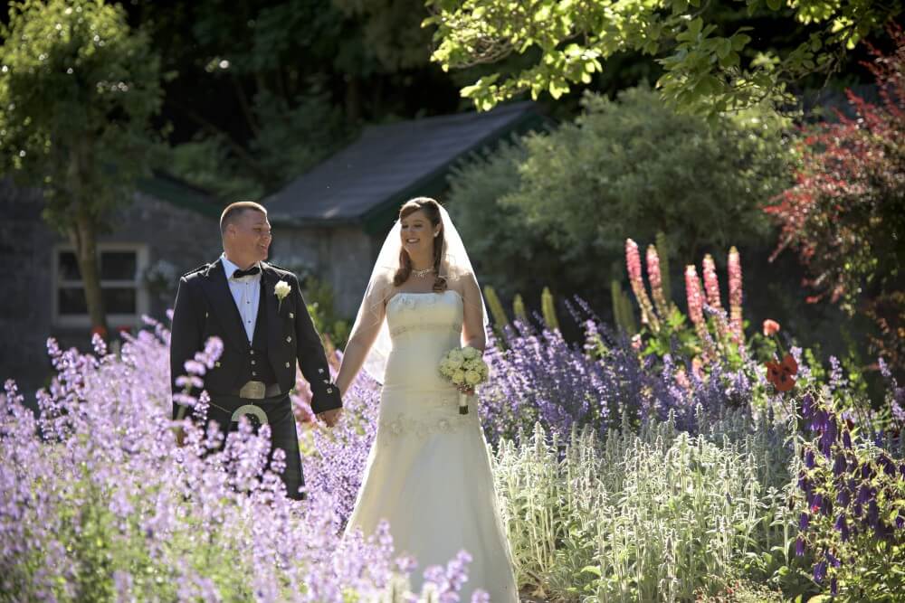 Lavender garden