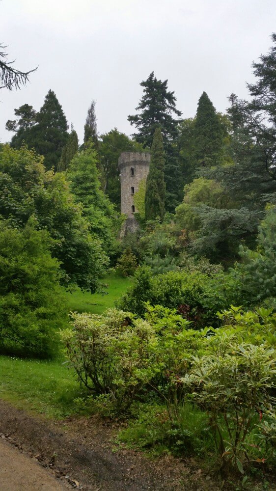 Tower in Powerscourt