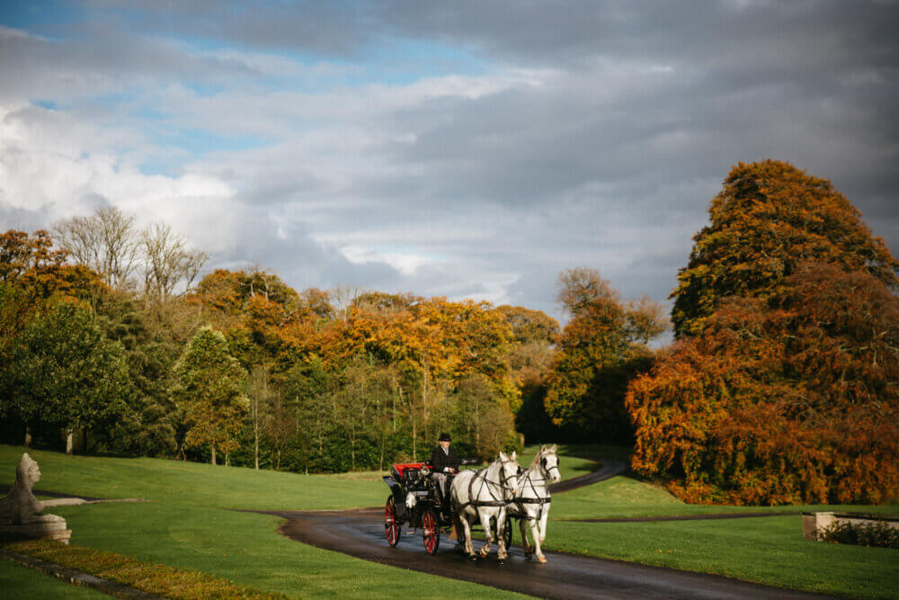 Elegant Irish wedding at Ballyfin Demesne