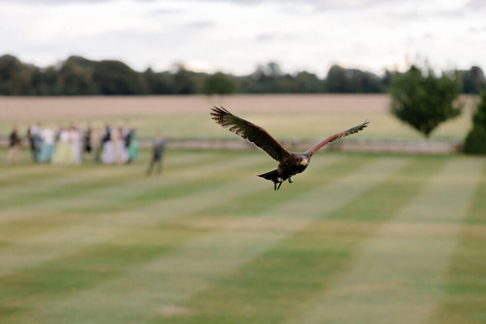 Joanie and Connor- Romance at Luttrellstown Castle, Ireland